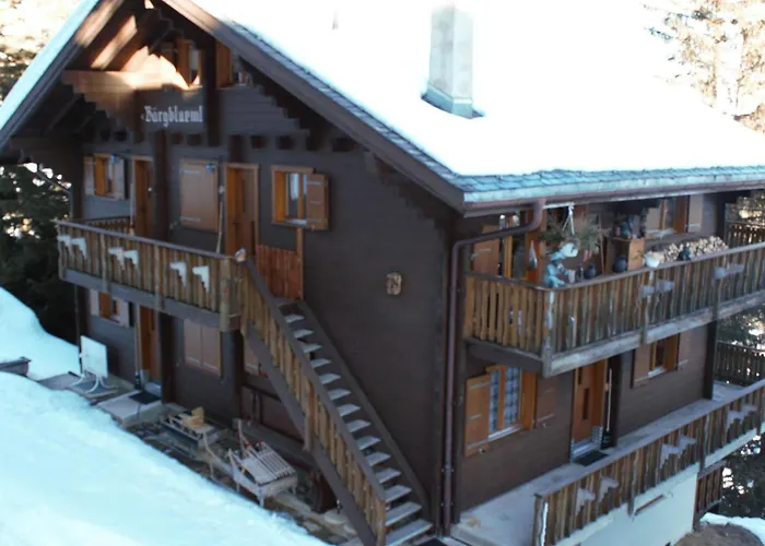 Baergblueemli 1- Og West By Interhome 아파트 *