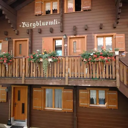 Appartamento Baergblueemli 1- Og West By Interhome